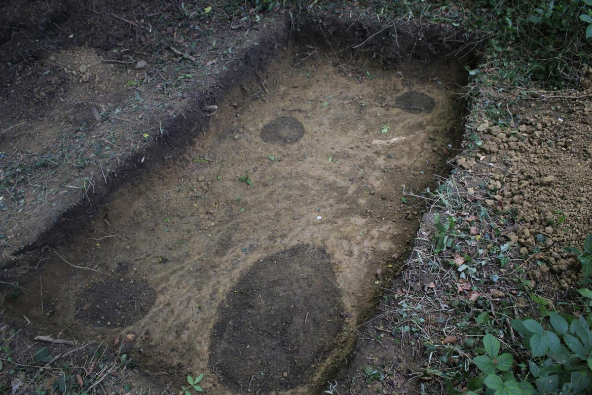 Community dig at Cuthbright Wood