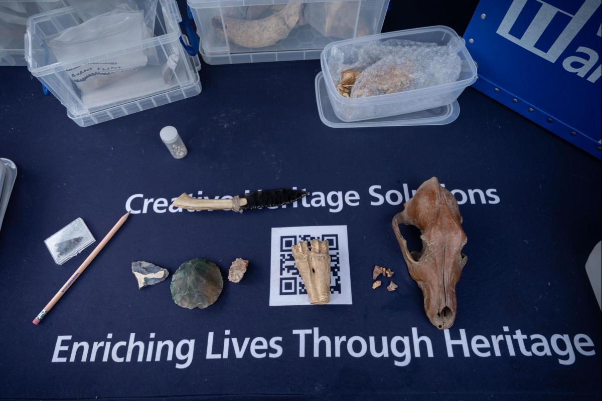 A selection of artefacts and replicas, including a dog skull, flint hand axes, and a 3D print of a mysterious Saxon metal box.