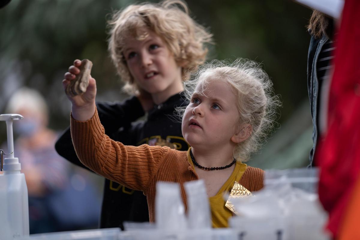 Children attending the Festival of Archaeology at Salisbury Museum