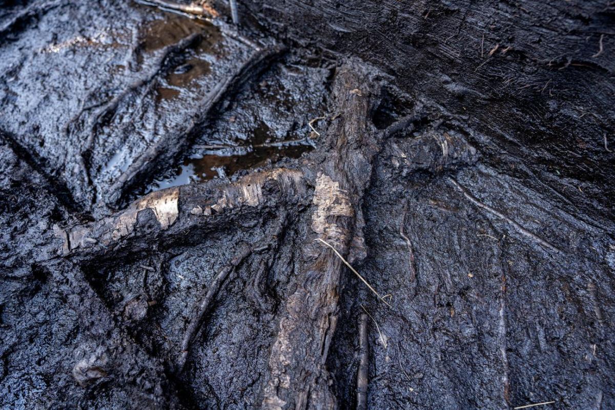 A close-up of the birchwood that has been placed in a cross formation.