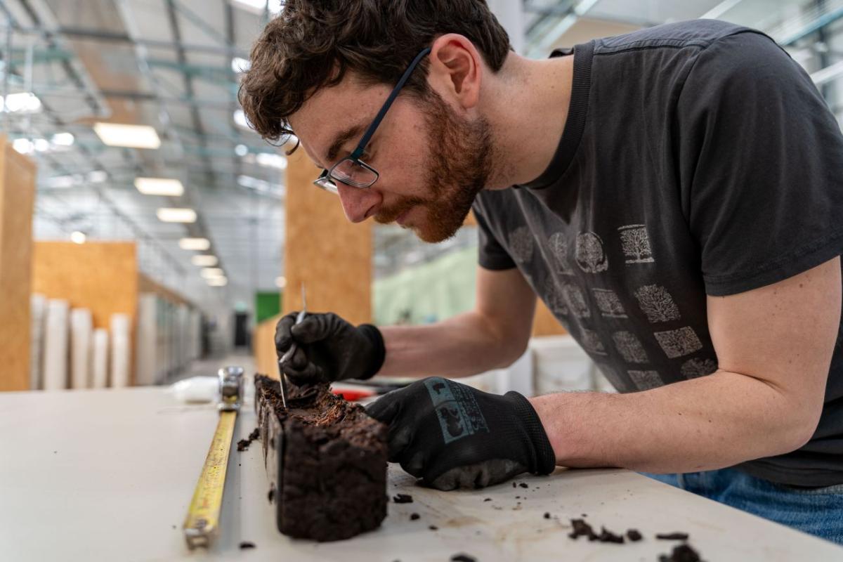 He takes a closer look at the soil sample, using a small implement to flake pieces off.