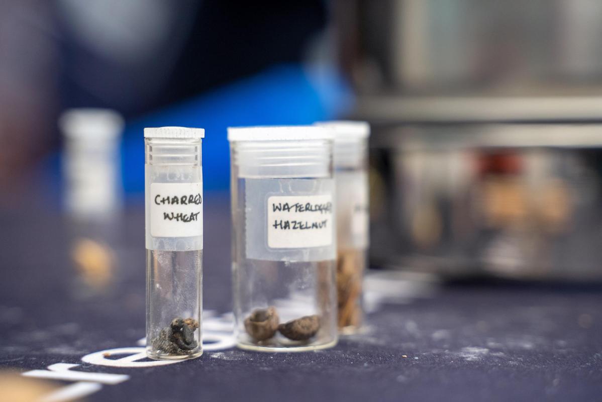 Environmental Archaeology at Eisteddfod yr Urdd