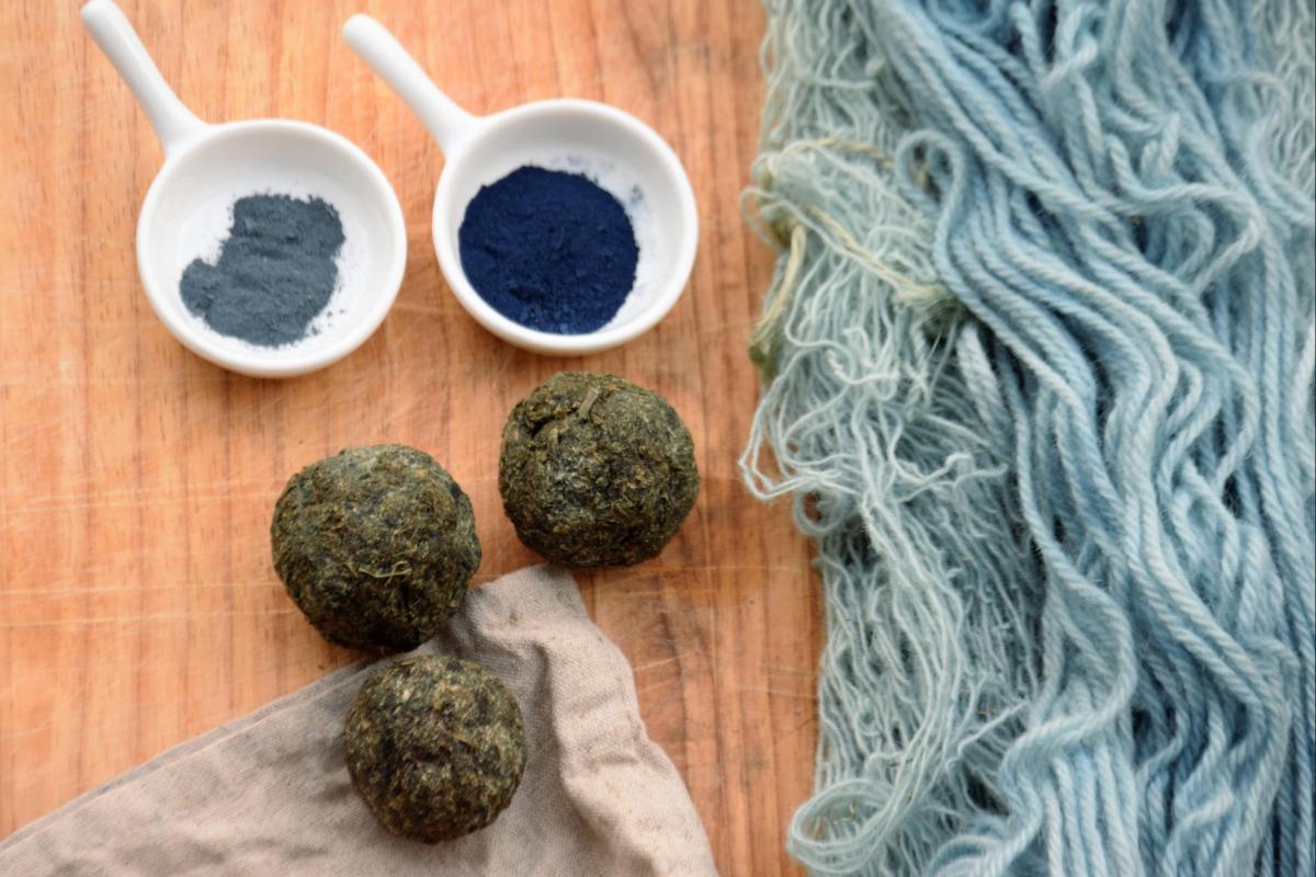 Woad, used for dyeing textiles during the Anglo-Saxon period