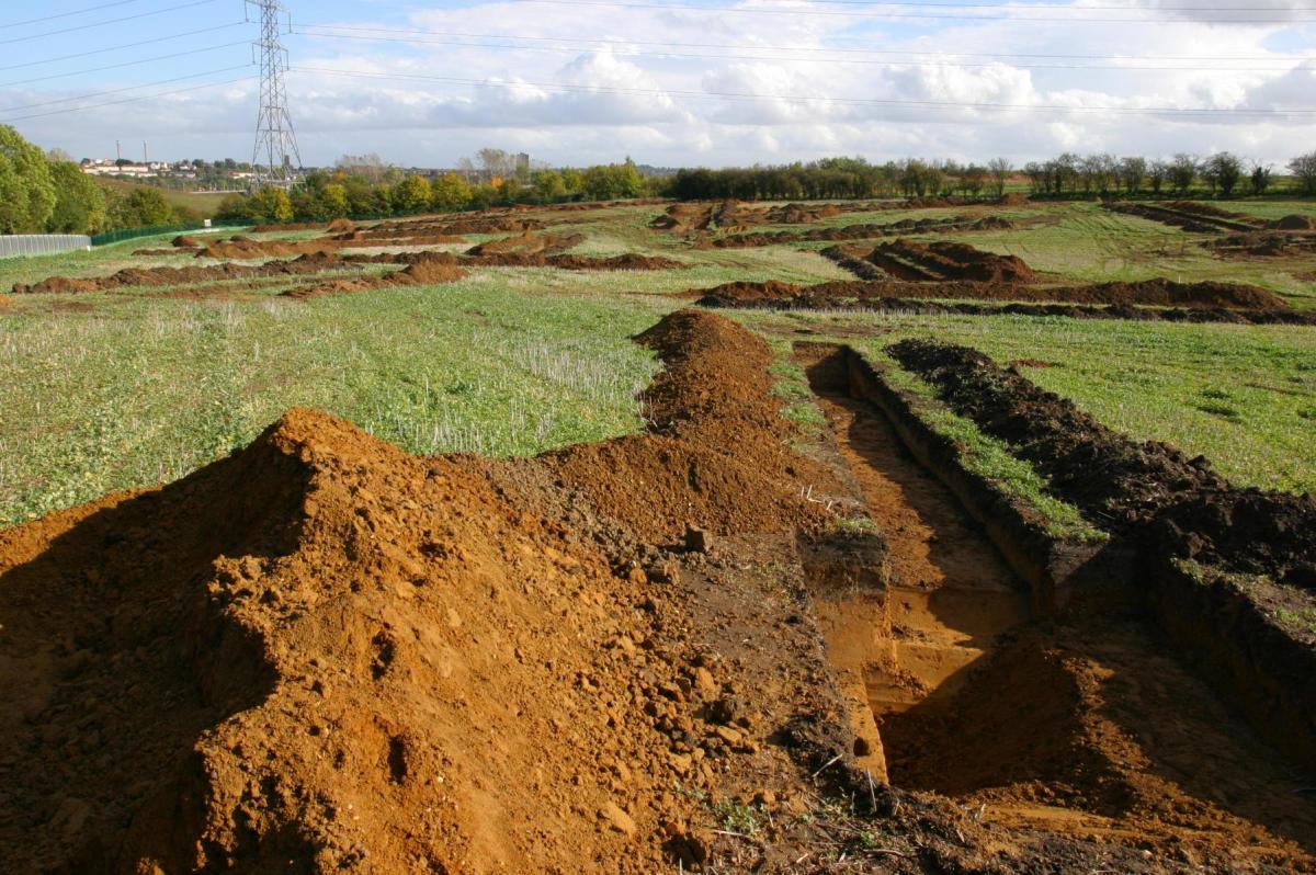 Array of trial trenches open across the landscape