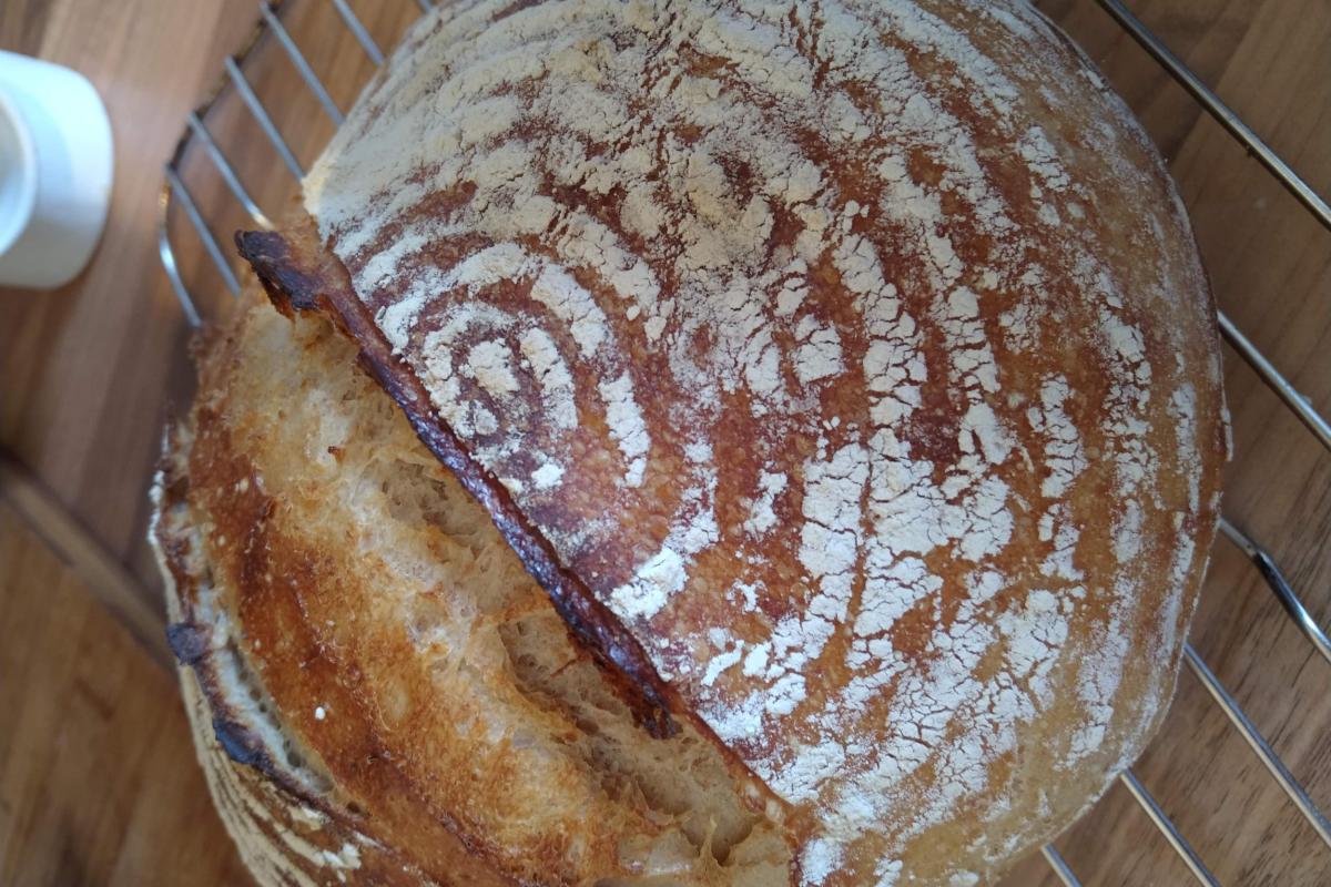 Bread and spelt wheat sourdough