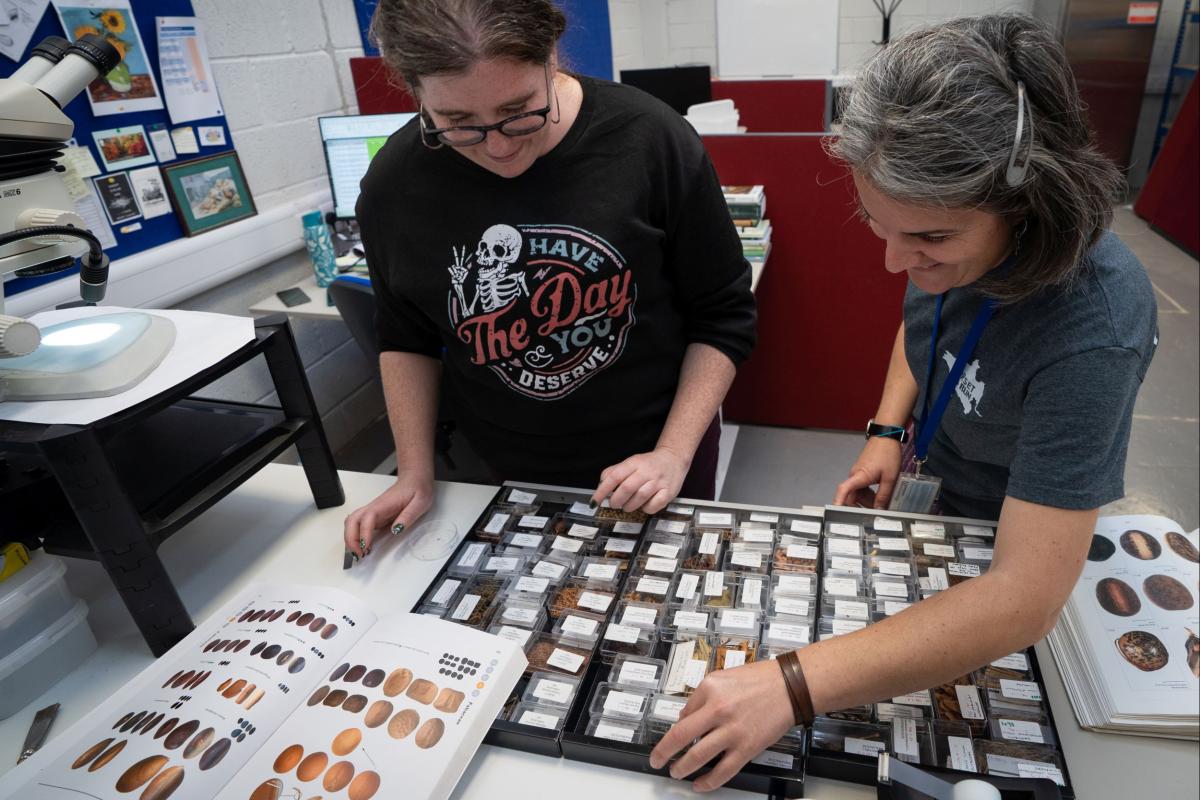 Fiona and Ines review a series of environmental artefacts, lots of tiny clear boxes on a desk. Each tiny box holds ancient grains, seeds or nuts