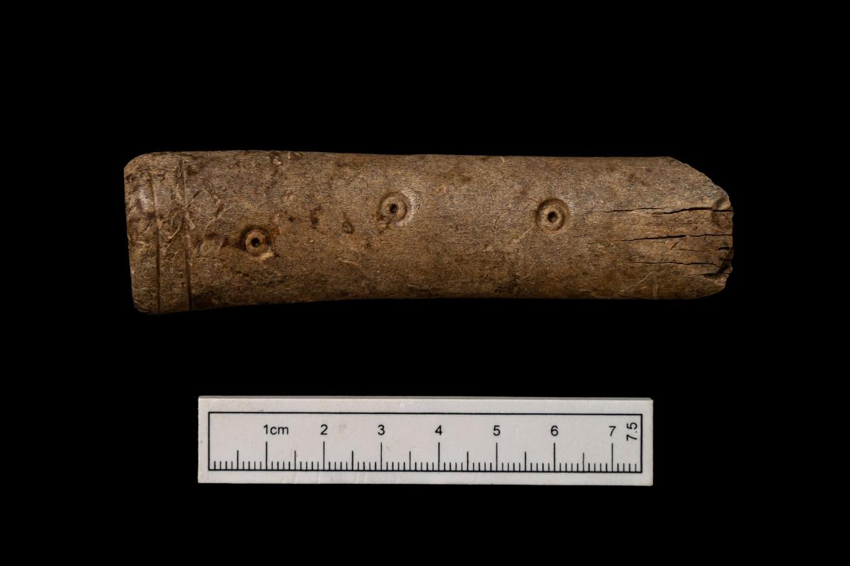 Fragment of handle of a worked bone comb decorate with three ring-and-dot motif