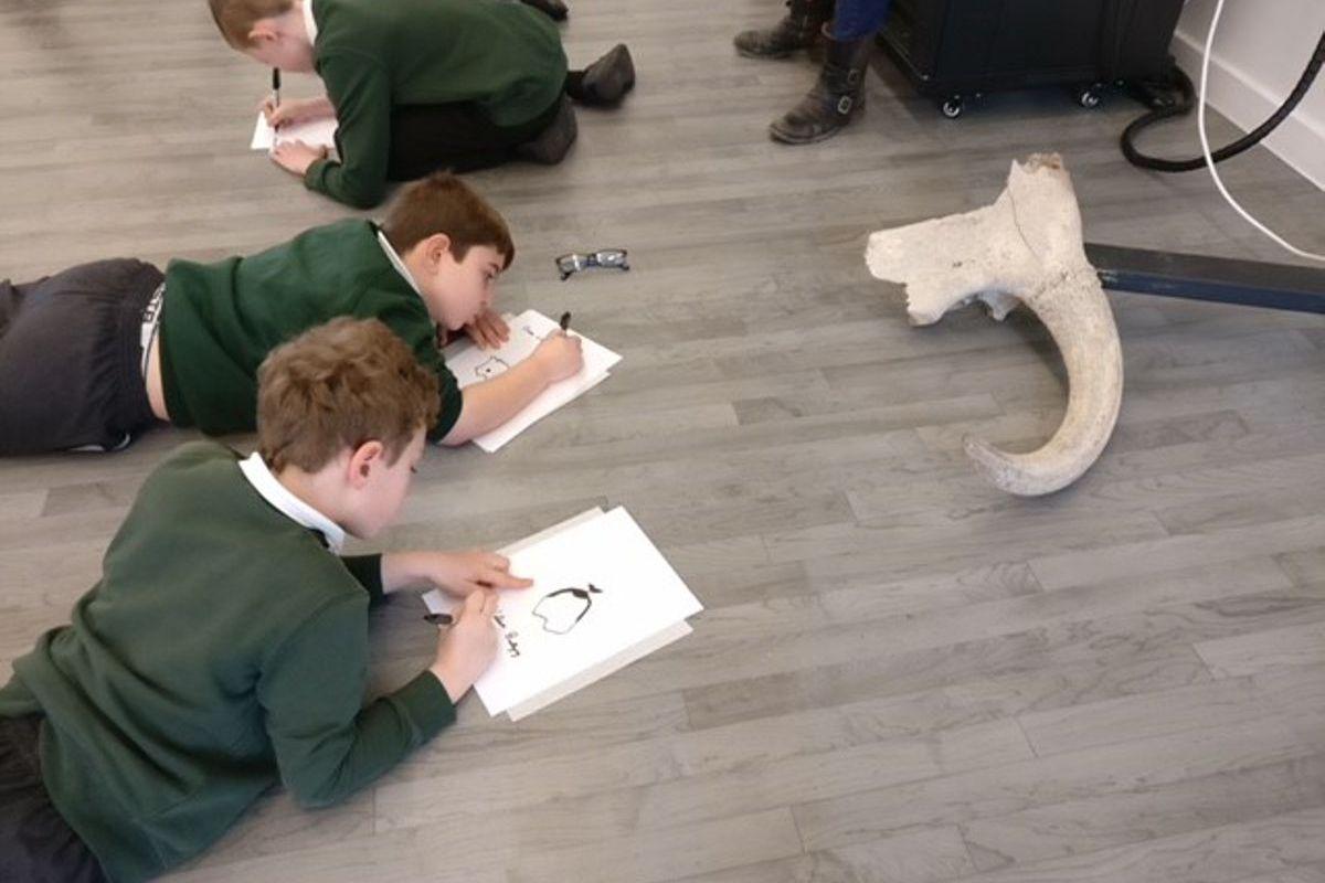 Pupils with the skull of an aurochs 