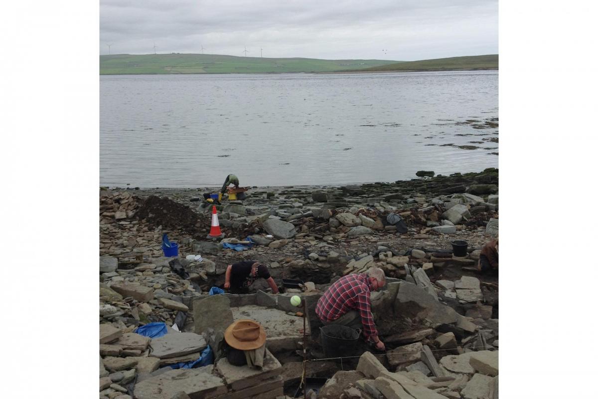 Return to Rousay II: Part 8 - seals and archaeology