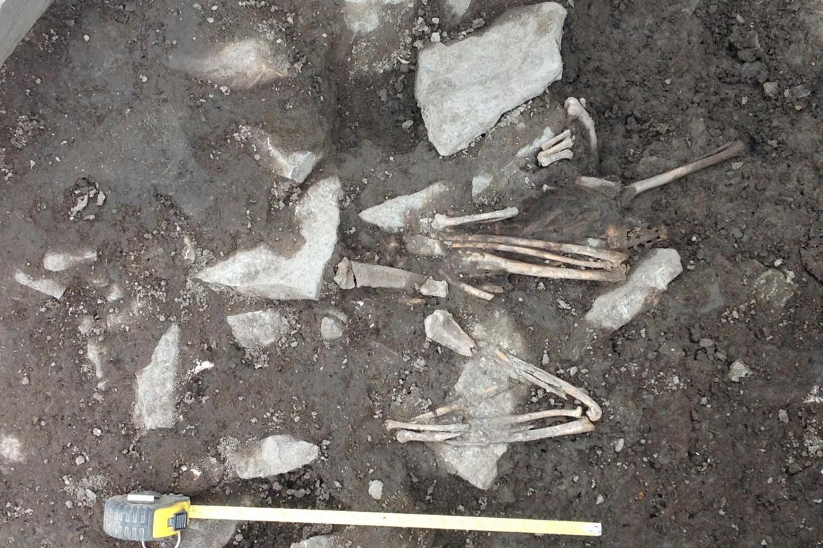 Bird skeleton buried in the Pictish levels at the entrance to the Neolithic chambered tomb