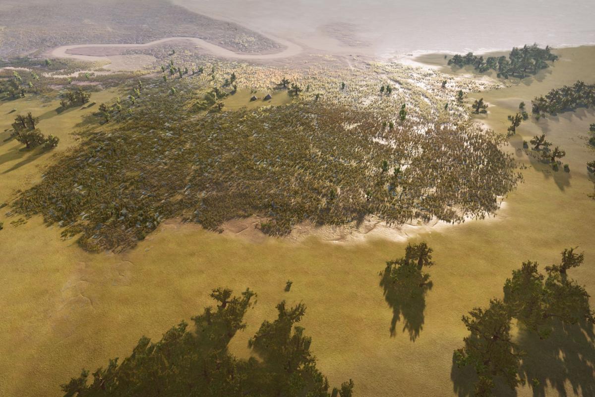 Reconstruction of past Iron Age landscape at Arne Moor