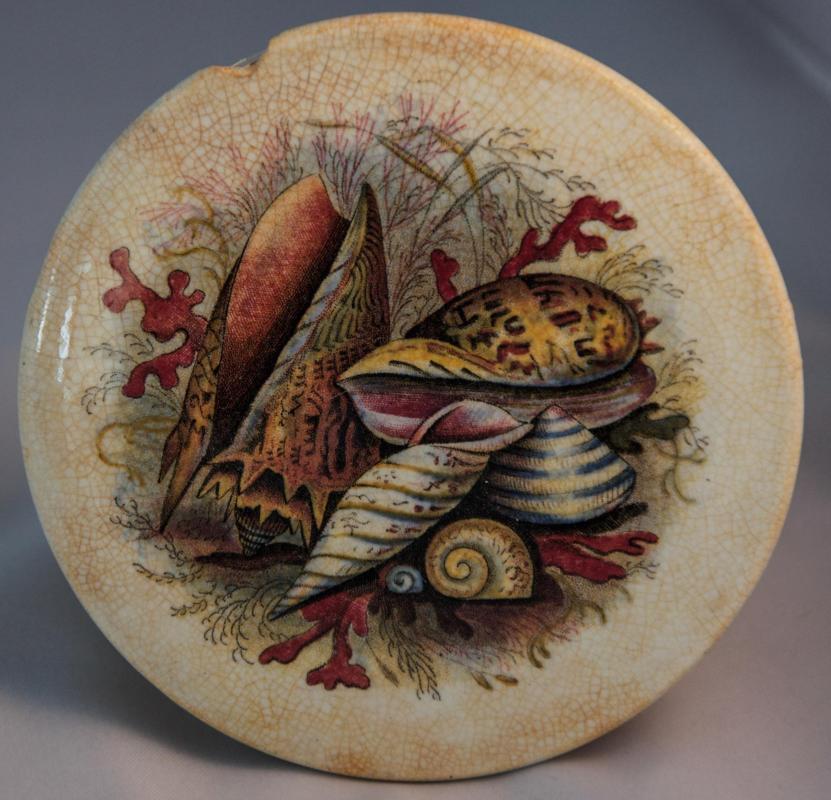 Pot lid featuring polychrome shell pattern © Stefan Panis