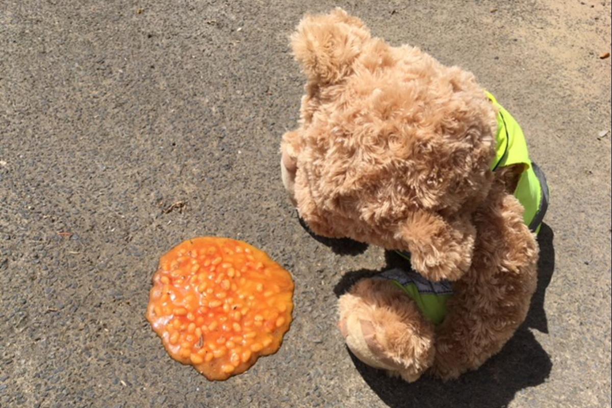 Kent Jones' breakfast revisiting him