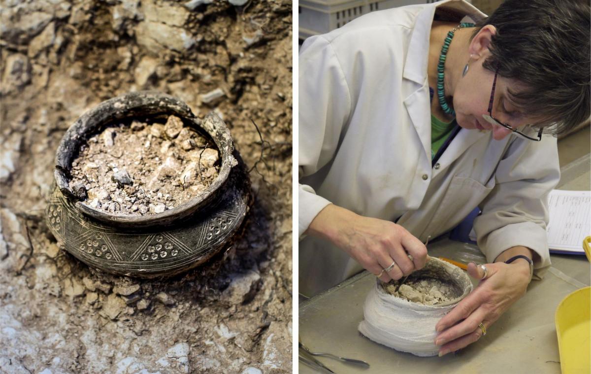 Pot in ground and being investigated in lab