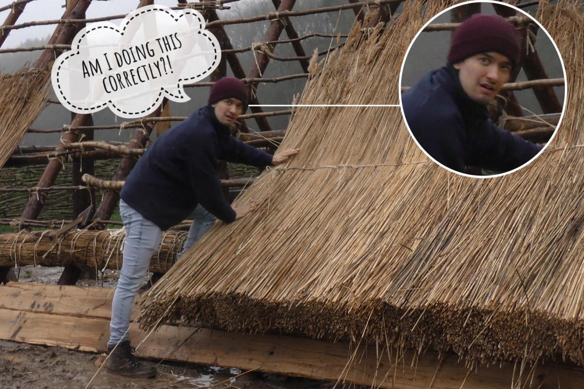 Tom Westhead tries thatching at Butser Ancient Farm