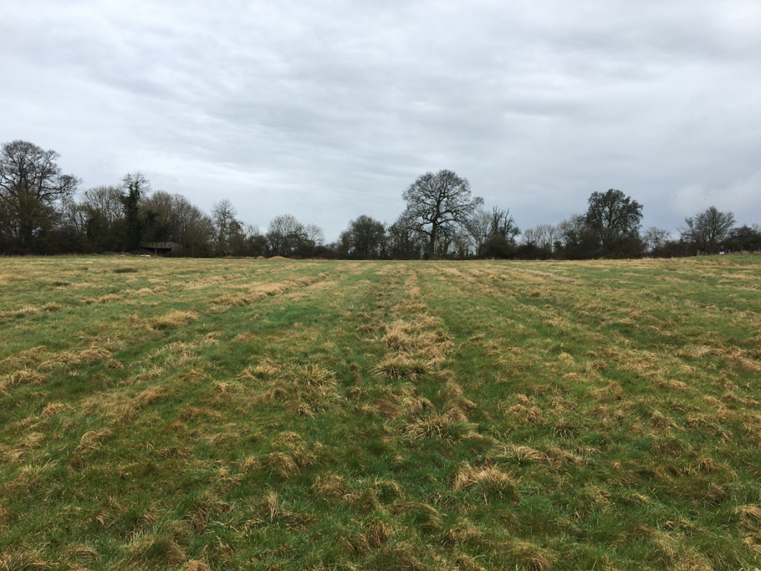 Medieval ploughing marks seen in Historic Environment survey
