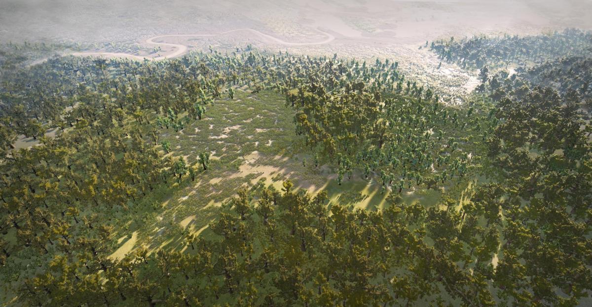 Neolithic reconstructions of Arne landscape 