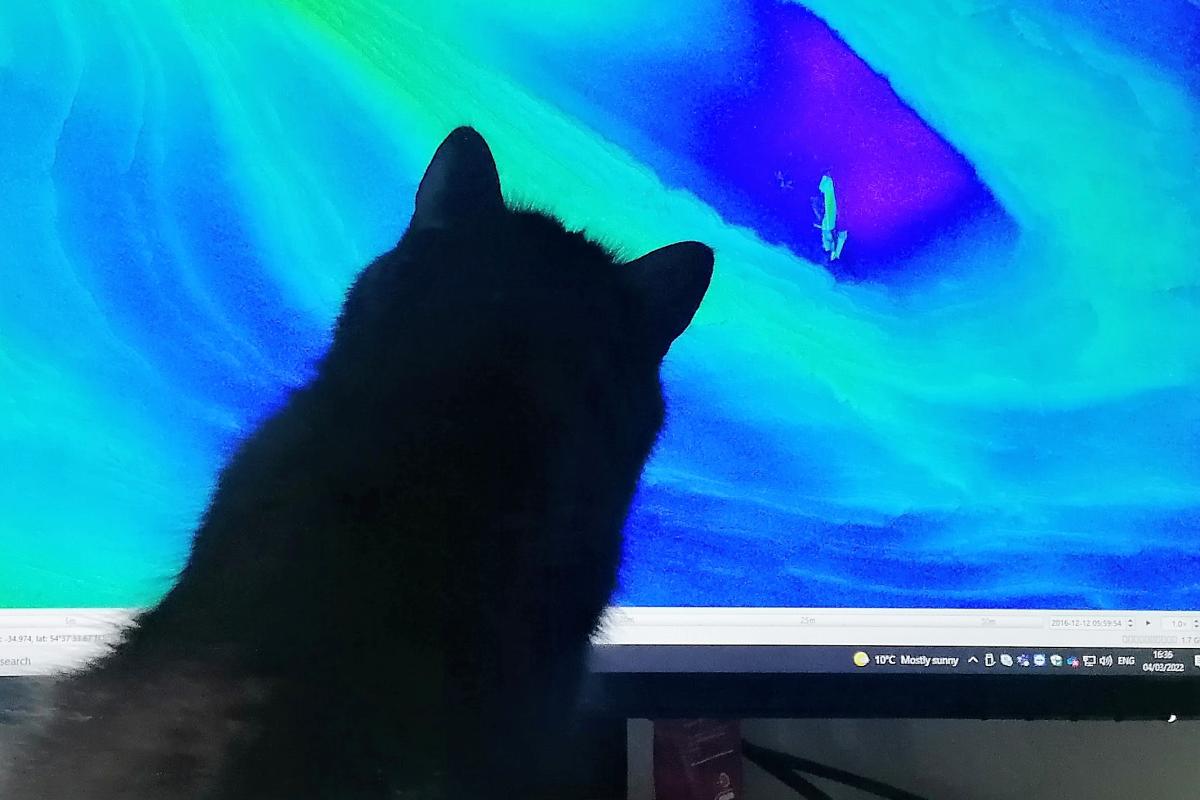 Ogg the Cat looks on as Marine Geophysicist, Robyn Pelling, analyses offshore data 