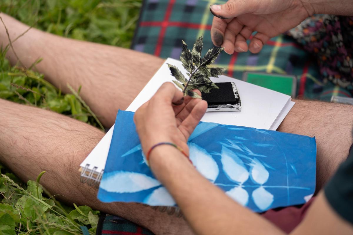 Photographic blueprints are created using leaves 
