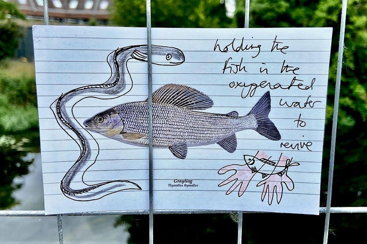 Exploring the River Avon from multiple vantage points helps the art practice of The Ripple Effect participants