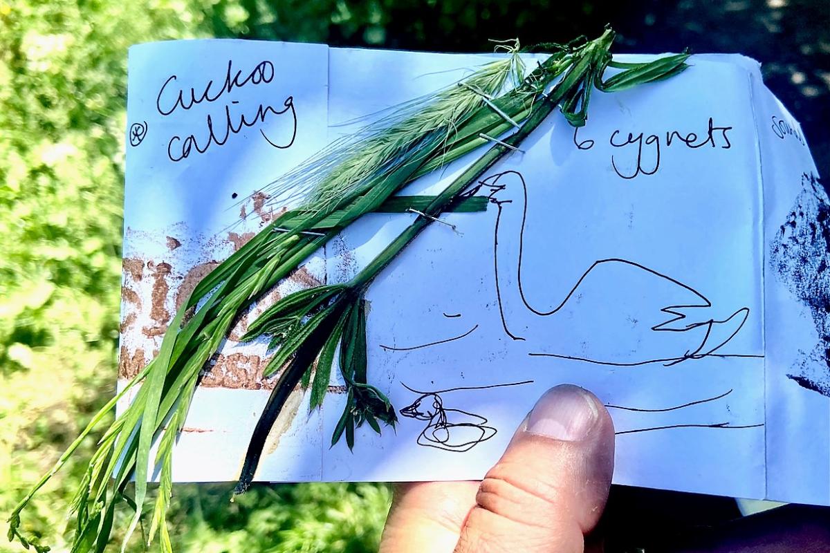 Participants in The Ripple Effect project make their own scrap books recording their experience of the sights and sounds of The River Avon