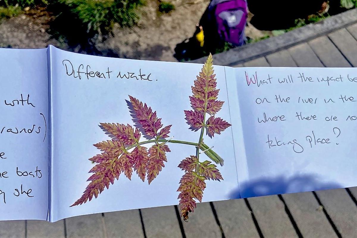 Asking questions about the life of River Avon as recorded in The Ripple Effect sketchbooks