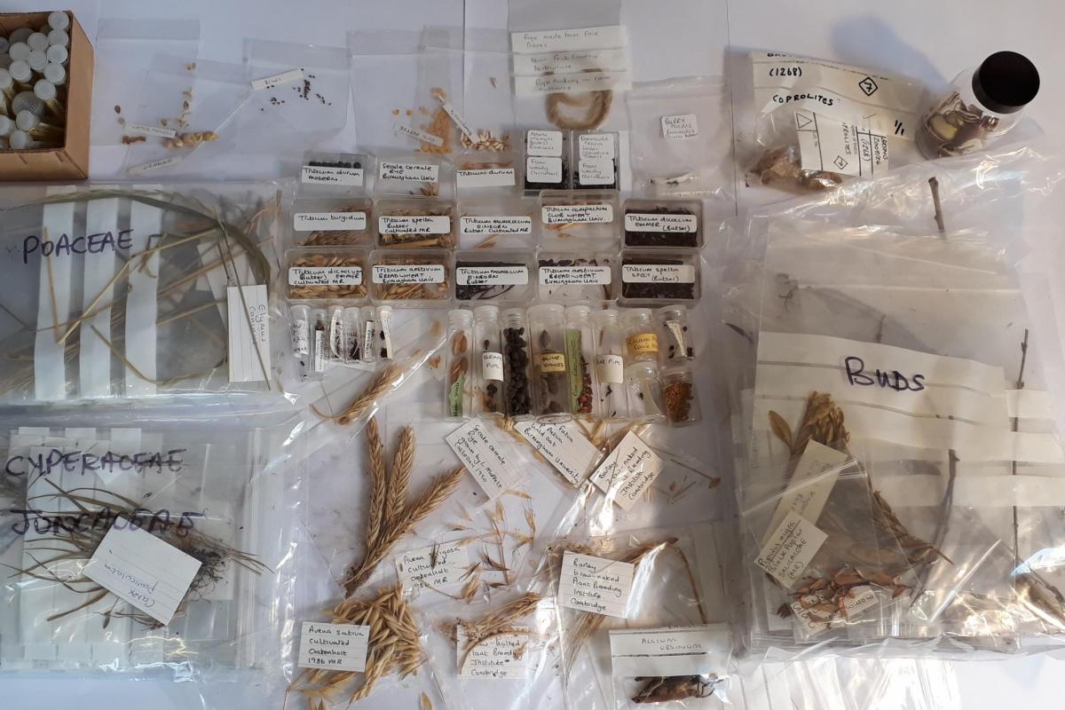 Legacy donation reference collection for the Environmental team