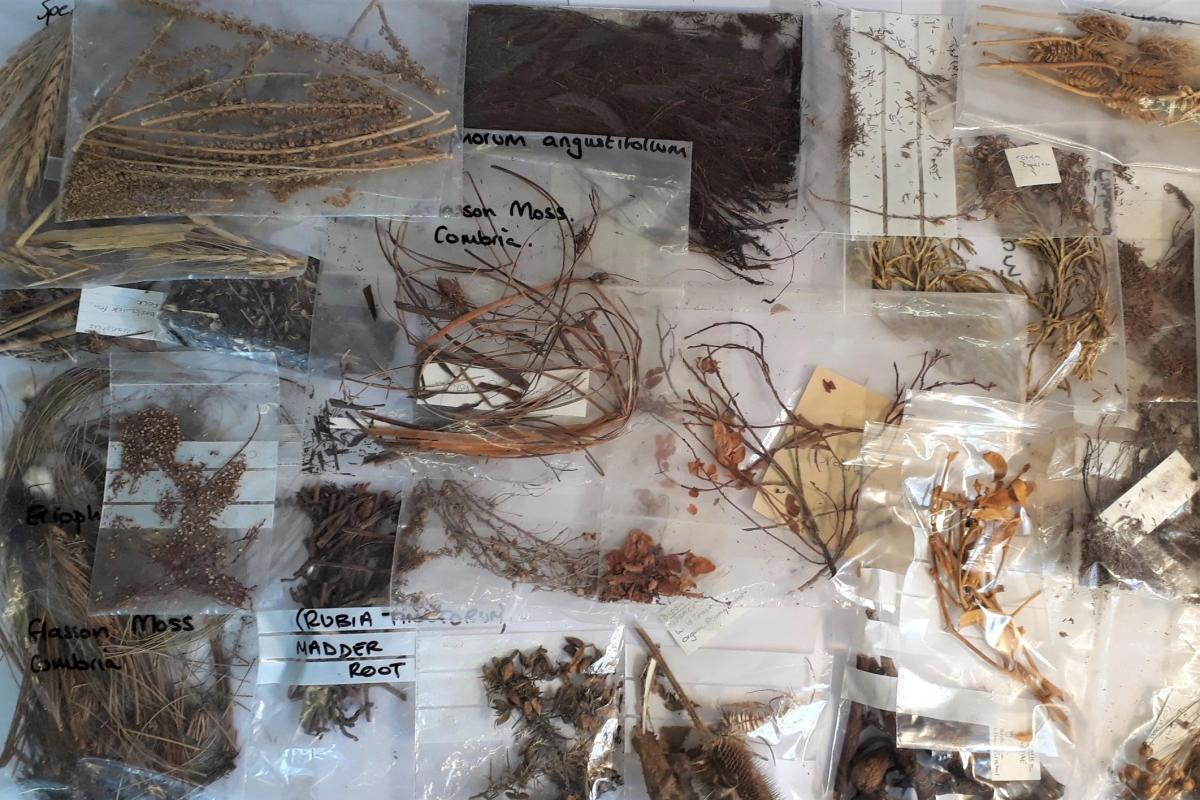 Legacy donation reference collection for the Environmental team