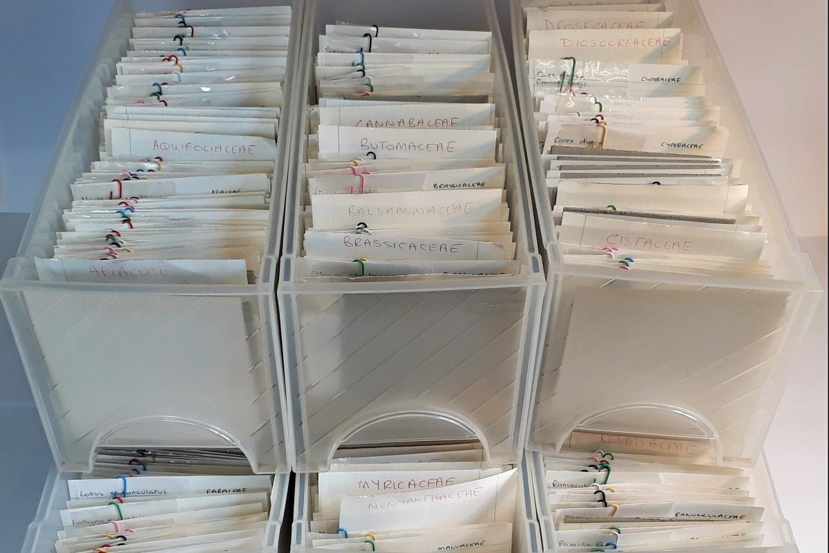 Sorted legacy donation reference collection for the Environmental team