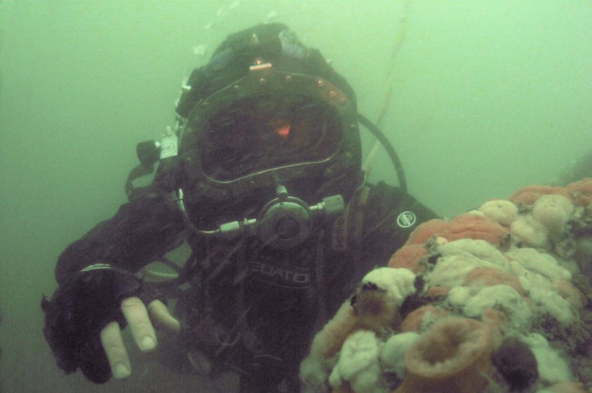 Diver on the Resurgam wreck site