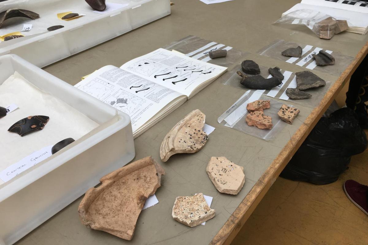 Roman pottery sherds set out on the familiarisation day