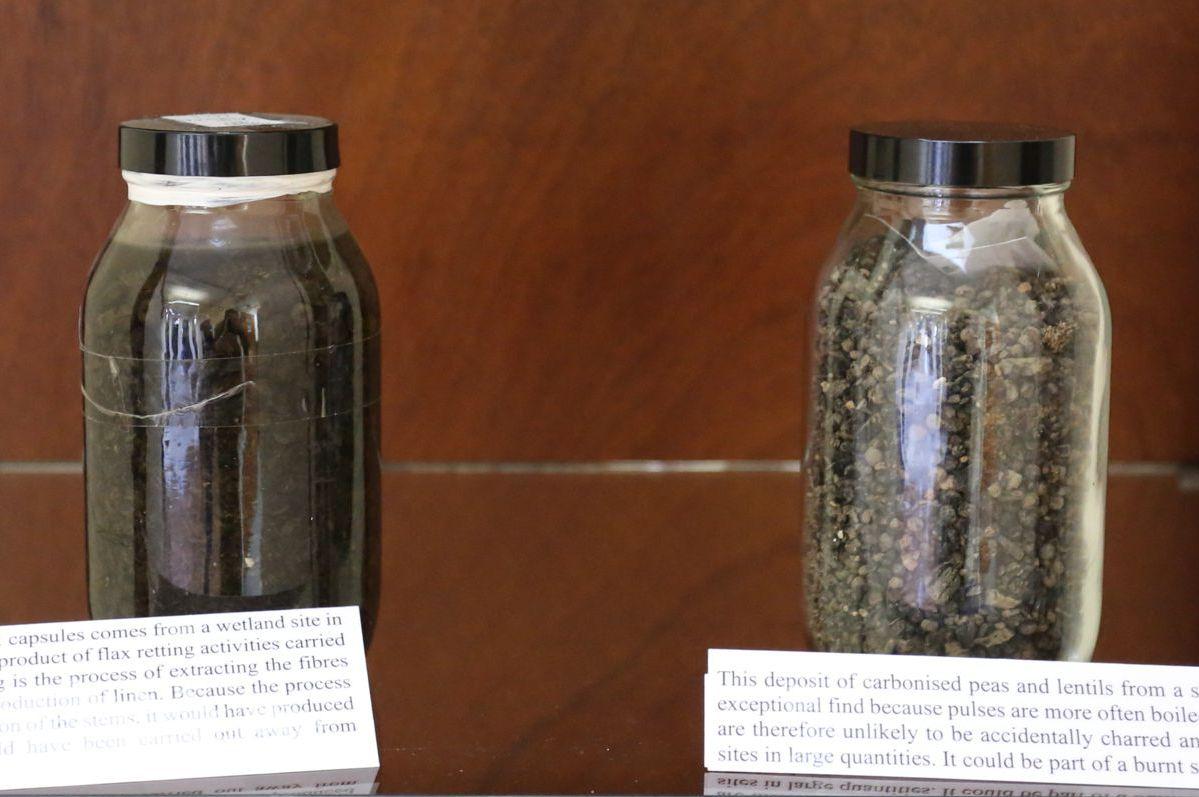 Plant macroremains preserved by carbonisation and waterlogging