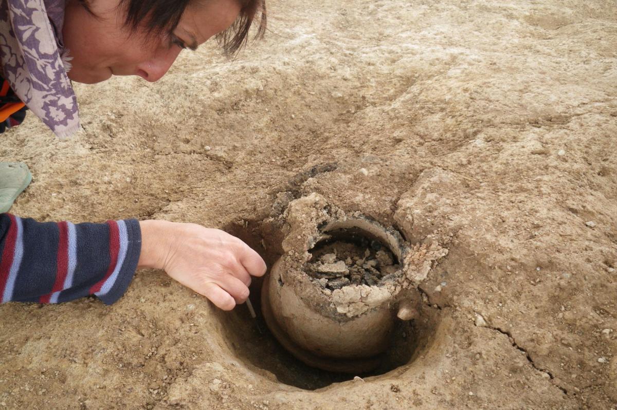Excavating a Bronze Age cremation at Sherford New Town