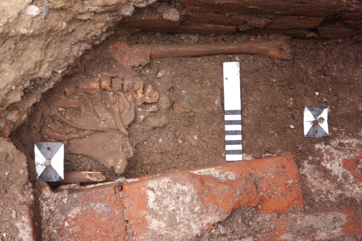 Burial discovered during the Arts Centre excavation