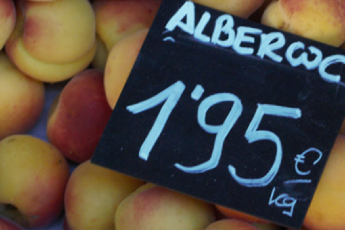 Sign for apricots and a punnet of apricots in Spain