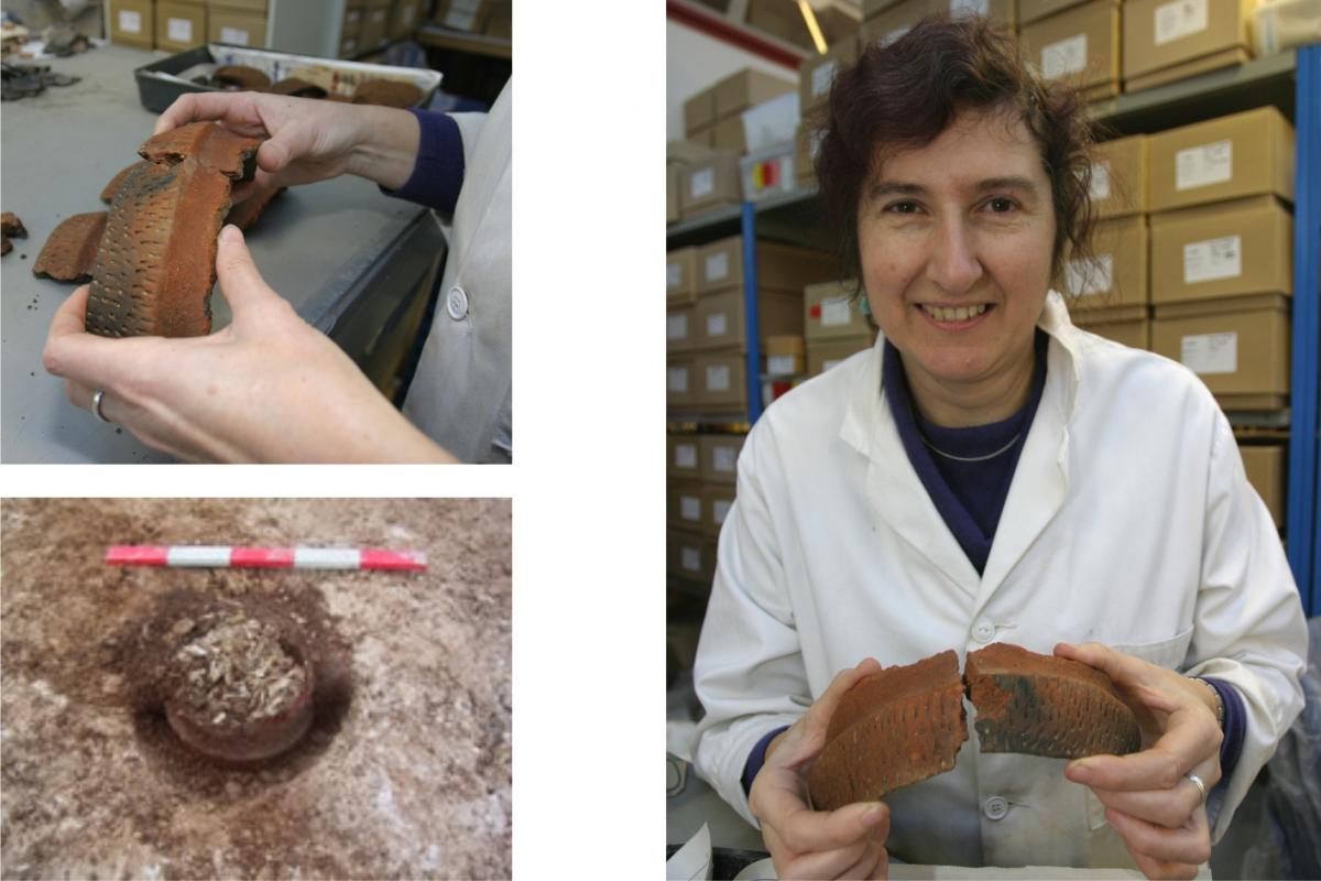 Bronze Age cremation urn from Tidworth