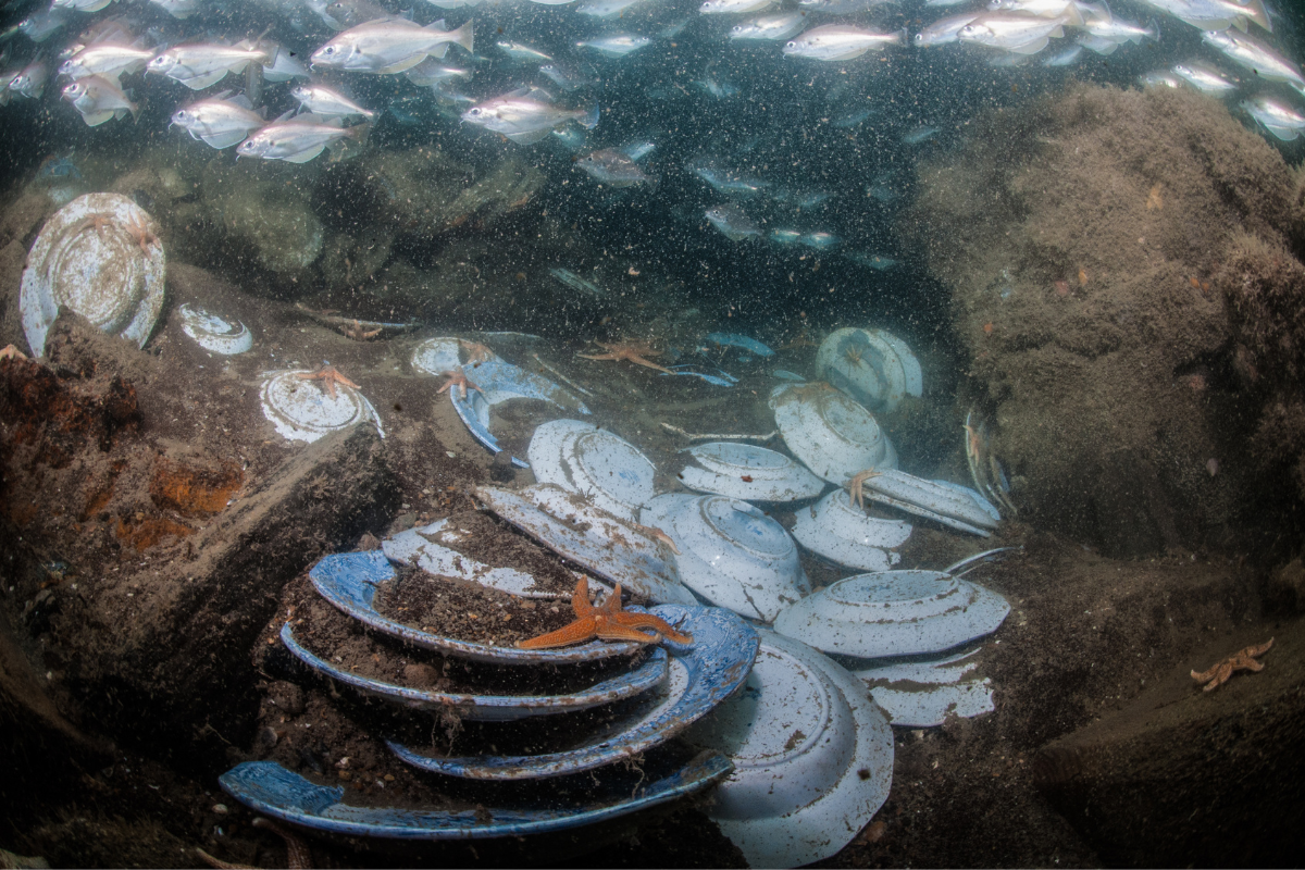 Various ceramics including plates with simple blue and white transfer printed rims © Stefan Panis
