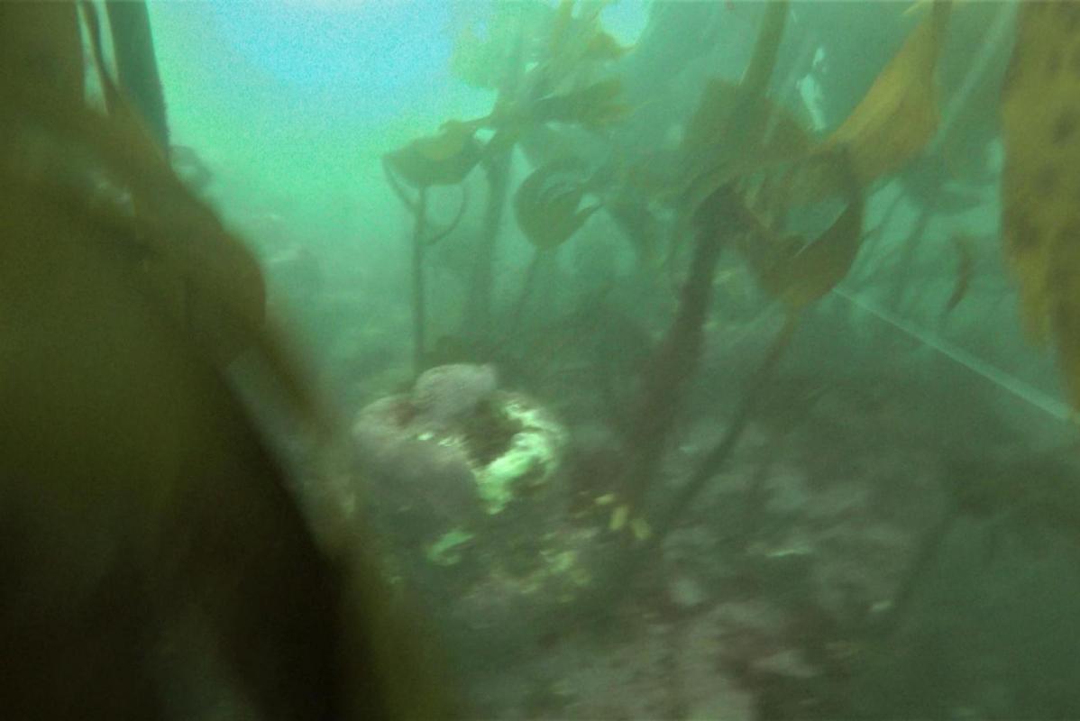 Video still showing a possible bolt