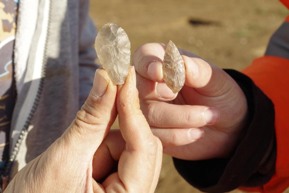 A pair of leaf shaped arrowheads from the enclosure