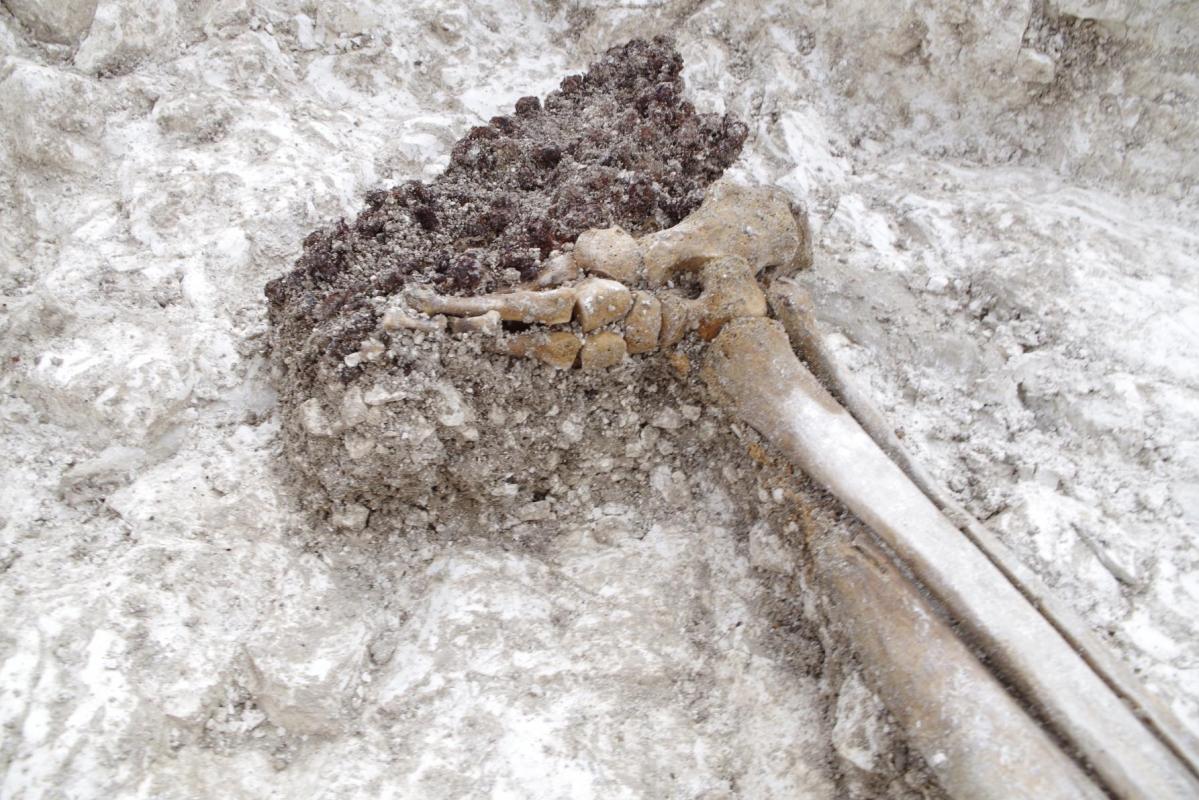 Remains of hob nailed footwear at Corunna Barracks Ludgershall