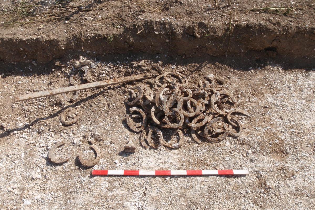 Site photo showing the early 20th century horse shoes in situ