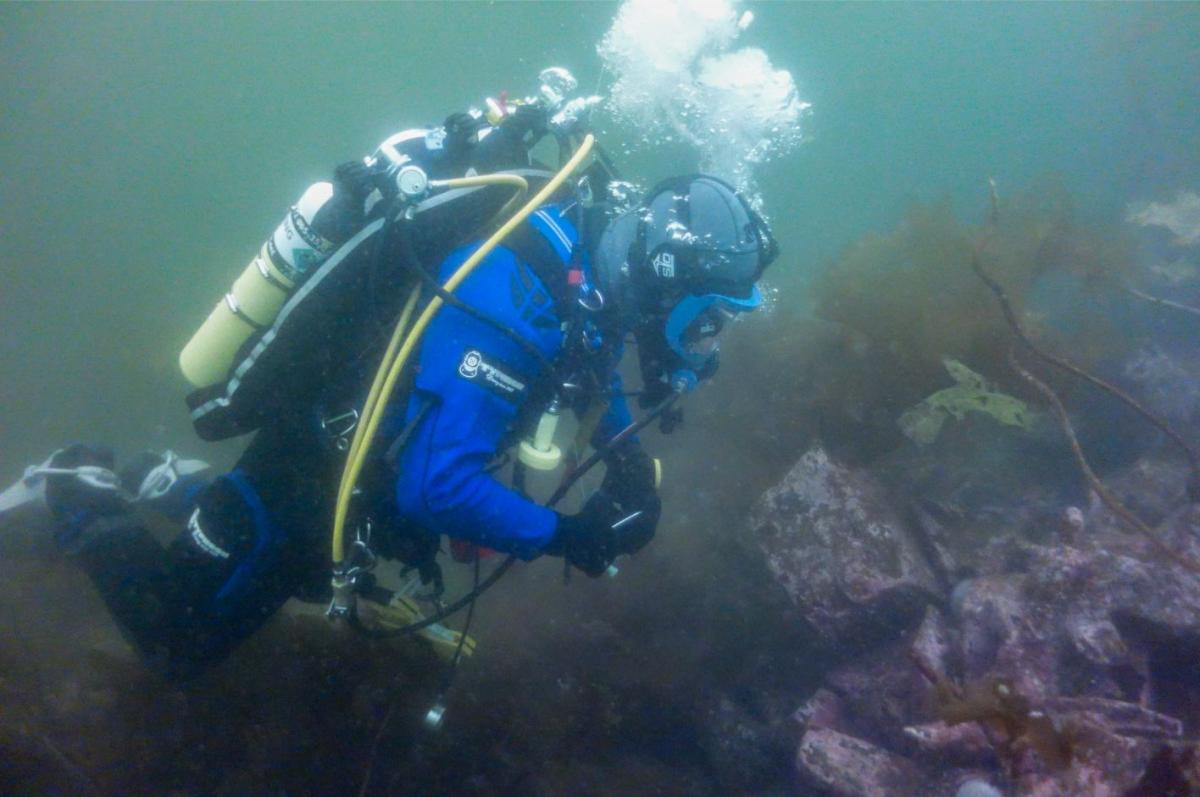 Volunteer diver on a wreck site