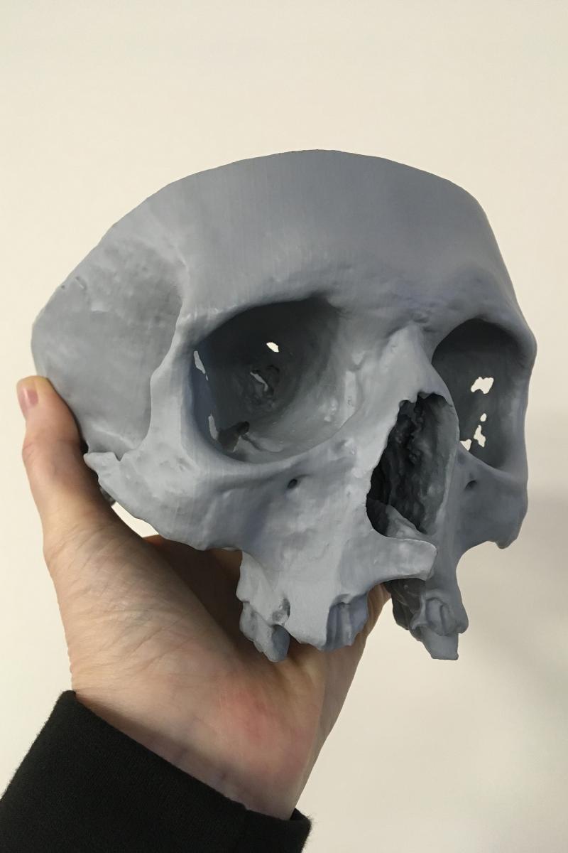 Heritage Interpretation - Medieval skull 3D poly print