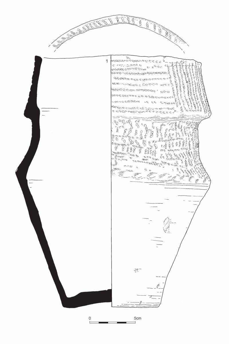 illustration of the Doveridge based on spider scanning technology