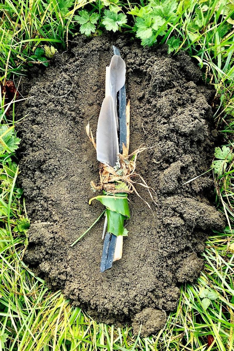 Using objects found in nature is a core part of The Ripple Effect project's use of art 