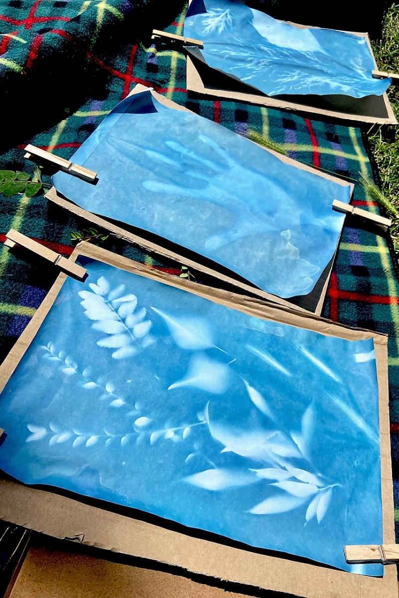 Photographic blueprints created by the River Avon lined up to dry