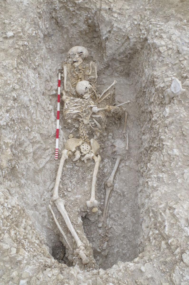 An excavated inhumation, three skeletons lay on top of one another, the top most skeleton is face down