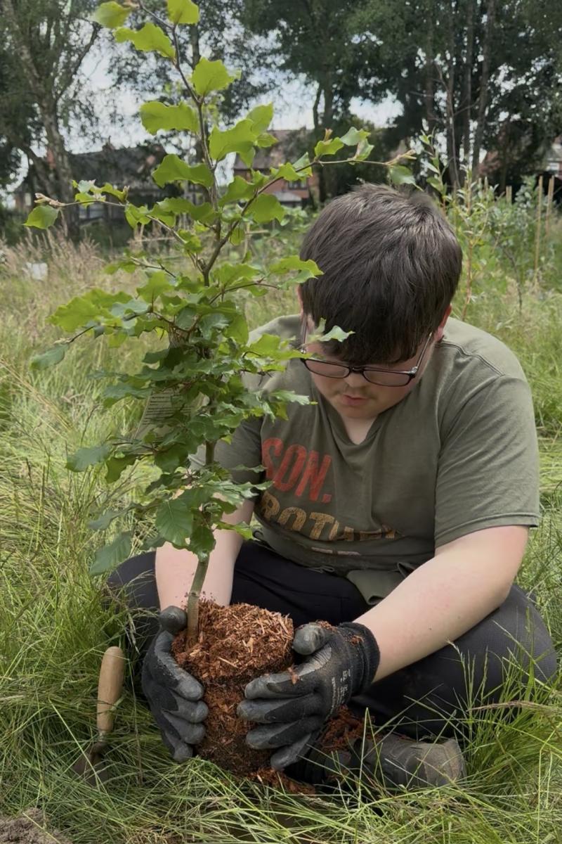 After digging an archaeological trench, a Trenchmate plants a tree.  