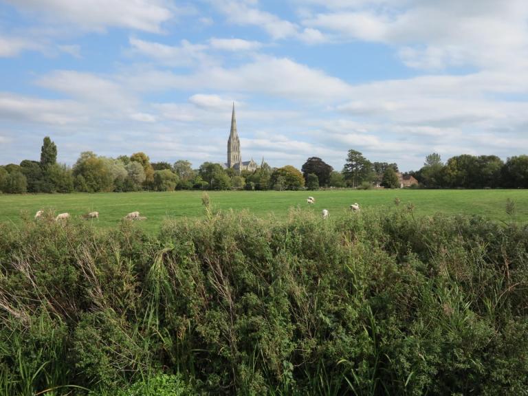 A view looking over the water meadows to Salisbury Cathedral