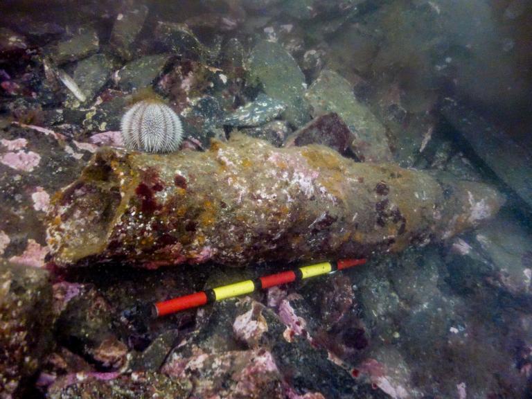 Iris wreck in NW Skye, recorded during project SAMPHIRE